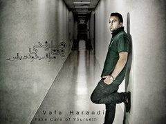 0feda762a17b084 photo 240x180