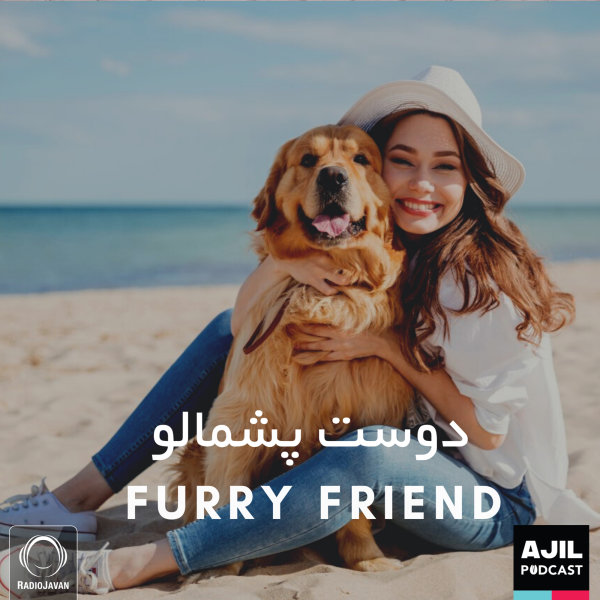 Ajil - 'Furry Friend'